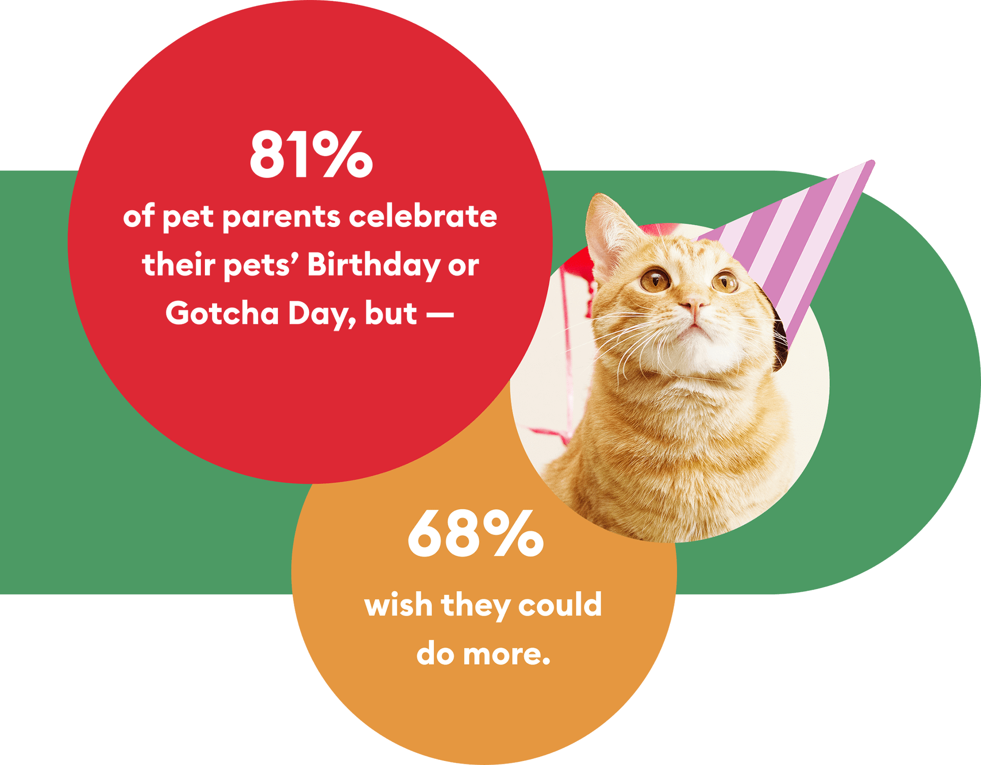 PetSmart Intro