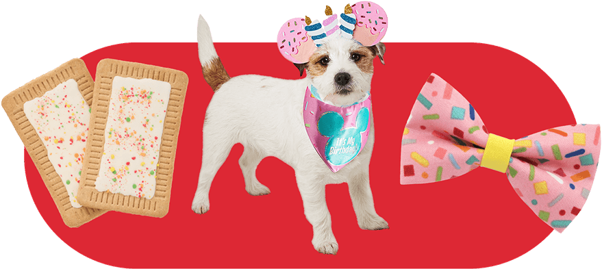 PetSmart Products